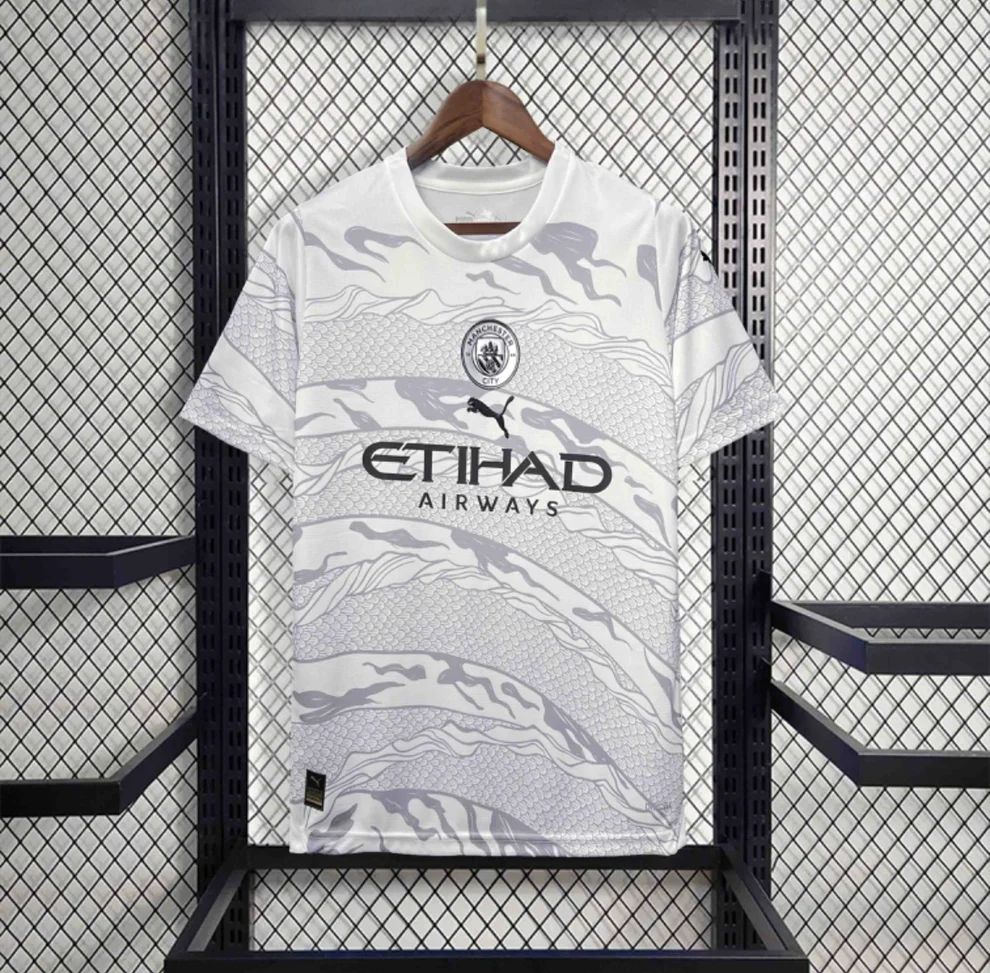 Manchester City Maillot Concept 23/24