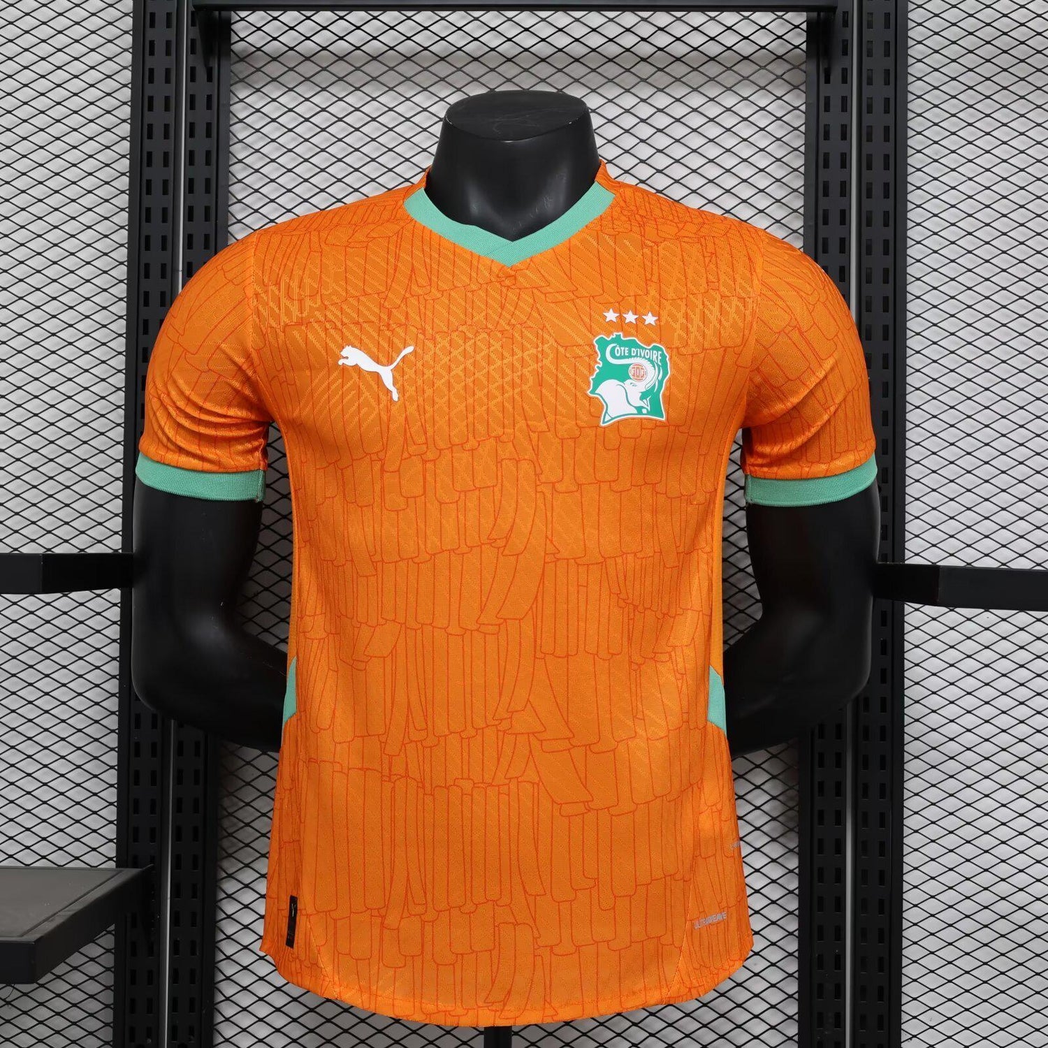 Côte d’Ivoire Maillot Domicile 25/26 - Player Version