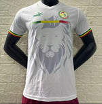 Sénégal Maillot Spécial 24/25 - Player Version