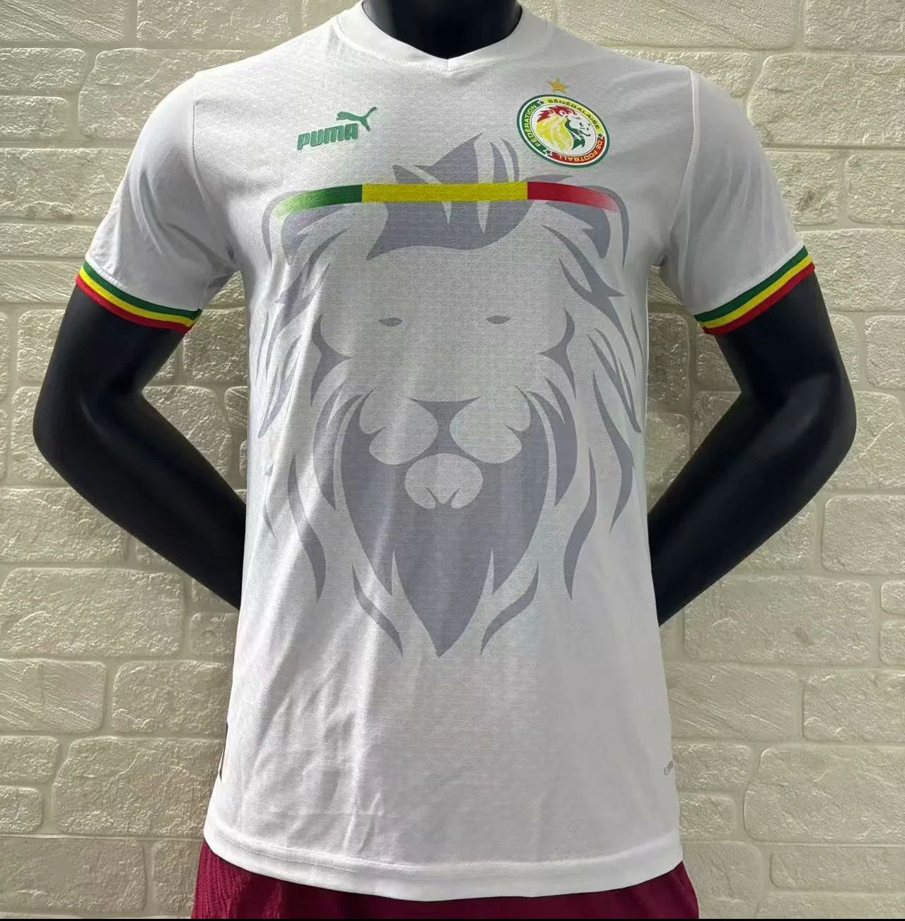 Sénégal Maillot Spécial 24/25 - Player Version