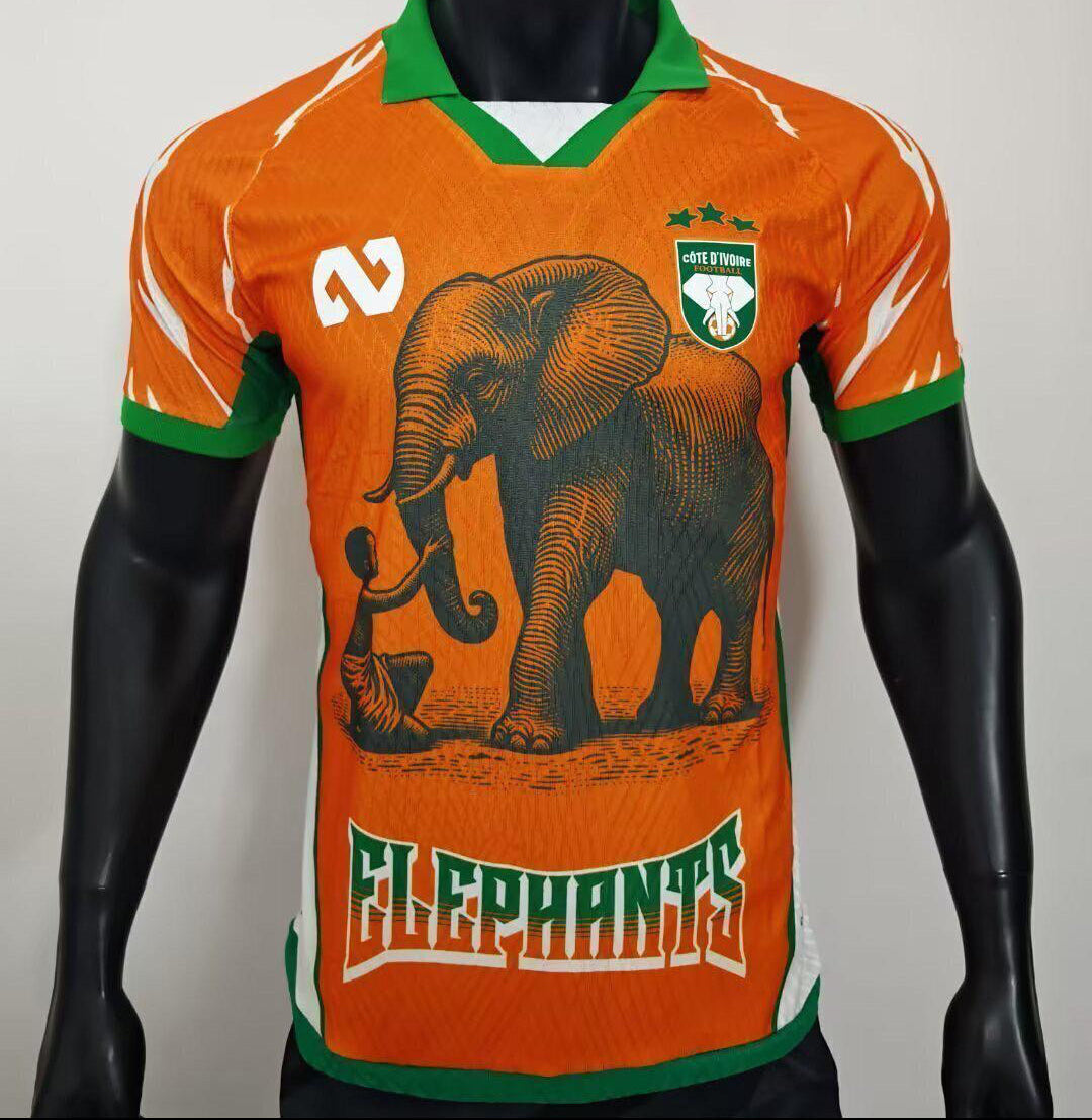 Côte d’Ivoire Maillot Spécial 25/26 - Player Version