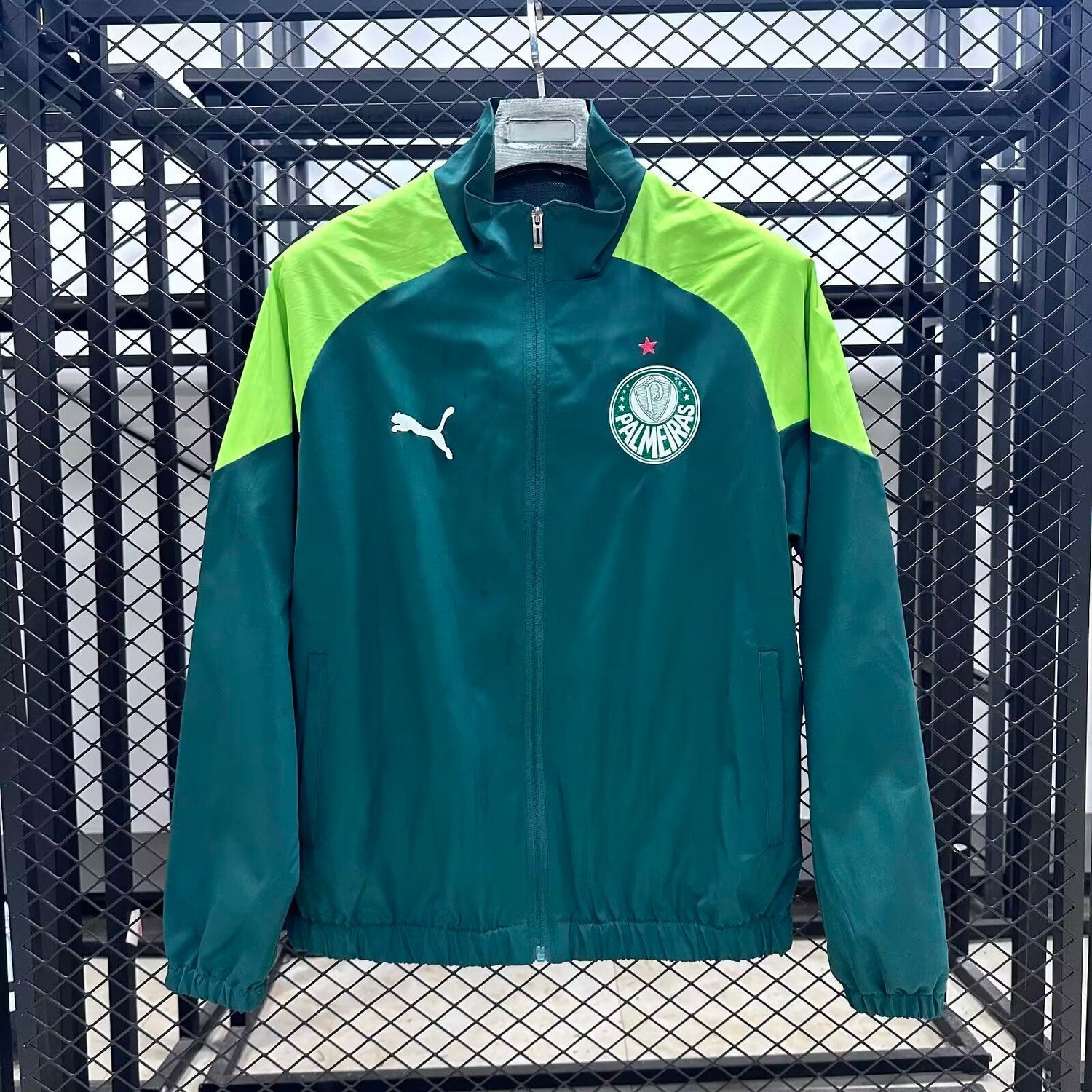 Palmeiras veste 24/25
